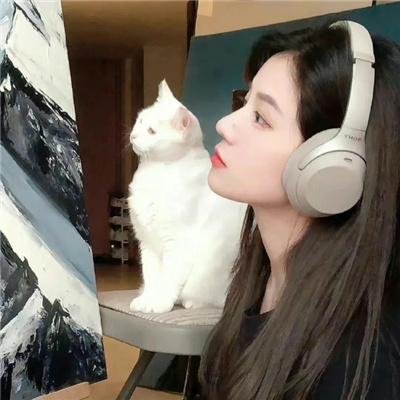 博尼法斯修女探案集 第一季